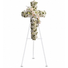 Divine Light Cross