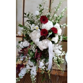 Red and white glory