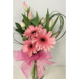 Tulips and Gerberas Spring