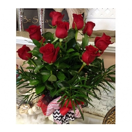 Classic Red Roses