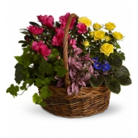 Blooming Garden Basket
